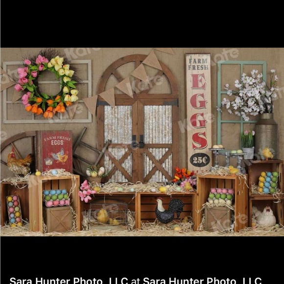 2 large spring photography kate backdrop - Picture 1 of 11